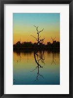 Framed Dead trees, Lily Creek Lagoon, Lake Kununurra, Australia