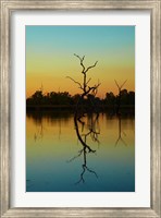 Framed Dead trees, Lily Creek Lagoon, Lake Kununurra, Australia