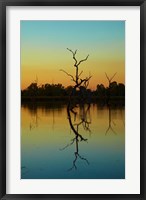 Framed Dead trees, Lily Creek Lagoon, Lake Kununurra, Australia