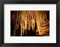 Framed Stalactites, Newdegate Cave, Hastings Caves, Australia