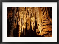 Framed Stalactites, Newdegate Cave, Hastings Caves, Australia