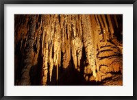 Framed Stalactites, Newdegate Cave, Hastings Caves, Australia