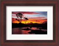 Framed Sunset, Gum Tree, Binalong Bay, Bay of Fires, Australia