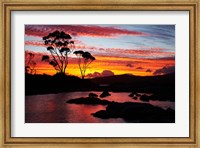 Framed Sunset, Gum Tree, Binalong Bay, Bay of Fires, Australia