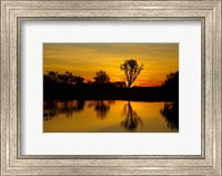 Framed Water Billabong, Kakadu NP, Northern Territory, Australia