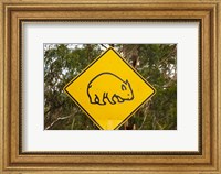 Framed Wombat warning sign, Tasman Peninsula, Australia