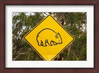 Framed Wombat warning sign, Tasman Peninsula, Australia