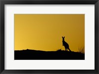 Framed Silhouette of Kangaroo, Australia
