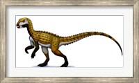 Framed Scutellosaurus