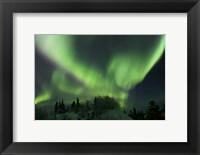 Framed Aurora Borealis Takes Flight