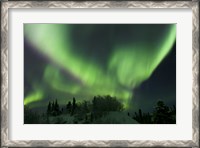 Framed Aurora Borealis Takes Flight