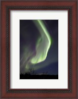 Framed Aurora Borealis with Orion's Belt, Yukon, Canada