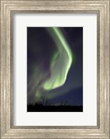 Framed Aurora Borealis with Orion's Belt, Yukon, Canada