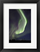 Framed Aurora Borealis with Orion's Belt, Yukon, Canada