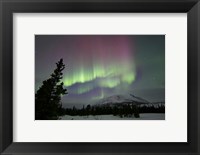 Framed Red and Green Aurora Borealis over Carcross Desert, Canada