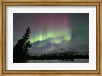 Framed Red and Green Aurora Borealis over Carcross Desert, Canada