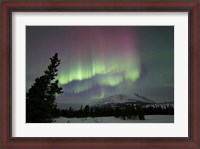 Framed Red and Green Aurora Borealis over Carcross Desert, Canada
