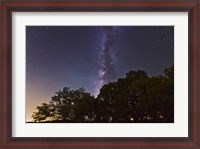Framed Milky Way Above LiveOoak and Mesquite Trees
