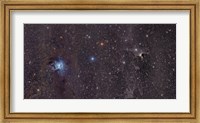 Framed Iris Nebula in Cepheus