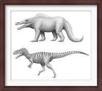 Framed Megalosaurus Bucklandii, Past and Present