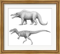 Framed Megalosaurus Bucklandii, Past and Present