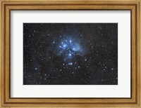 Framed Pleiades (Seven Sisters)