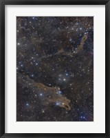 Framed Dusty Nebulae in Cepheus Constellation