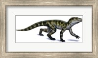 Framed Protosuchus