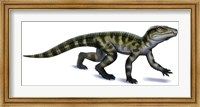 Framed Protosuchus