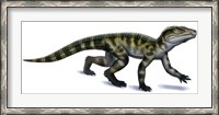 Framed Protosuchus