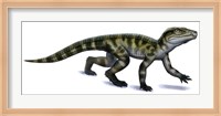 Framed Protosuchus