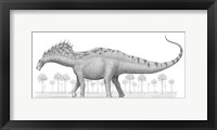 Framed Amargasaurus Cazaui Dinosaur from the Early Cretaceous Period
