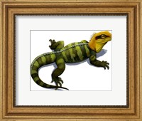 Framed Clevosaurus