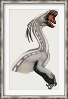 Framed Oviraptor, a Small Dinosaur that Lived During the Cretaceous period