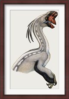 Framed Oviraptor, a Small Dinosaur that Lived During the Cretaceous period