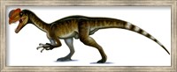 Framed Dilophosaurus Wetherilli