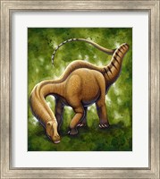 Framed Apatosaurus