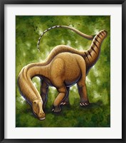 Framed Apatosaurus