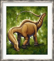 Framed Apatosaurus