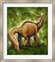 Framed Apatosaurus