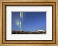 Framed Aurora Borealis near Mayo, Yukon, Canada