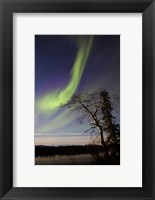 Framed Aurora Borealis over the Yukon River, Whitehorse, Canada