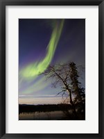 Framed Aurora Borealis over the Yukon River, Whitehorse, Canada