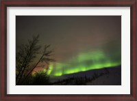 Framed Aurora Borealis, Twin Lakes, Yukon, Canada