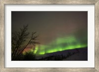 Framed Aurora Borealis, Twin Lakes, Yukon, Canada