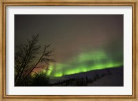 Framed Aurora Borealis, Twin Lakes, Yukon, Canada