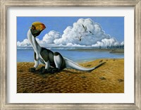 Framed Dilophosaurus on the beach