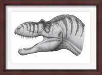 Framed Headshot of an Albertosaurus Sarcophagus