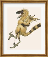 Framed Bambiraptor