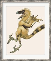 Framed Bambiraptor